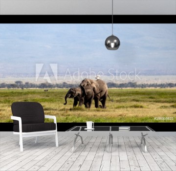 Picture of Mother and Baby African Elephant in Amboseli